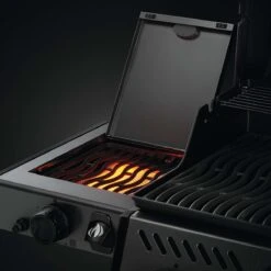 Napoleon Freestyle 425, 4 Hauptbrenner, Mit Sizzle Zone Seitenbrenner, Graphit 22 Napoleon Freestyle 425, 4 Hauptbrenner, Mit Sizzle Zone Seitenbrenner, Graphit -Santo Grills Geschaft napoleon freestyle 425 4 hauptbrenner mit sizzle zone seitenbrenner graphit 0459d8f04507b9eb96b736f88bab1a8d