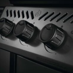 Napoleon Freestyle 425, 4 Hauptbrenner, Mit Sizzle Zone Seitenbrenner, Graphit 23 Napoleon Freestyle 425, 4 Hauptbrenner, Mit Sizzle Zone Seitenbrenner, Graphit -Santo Grills Geschaft napoleon freestyle 425 4 hauptbrenner mit sizzle zone seitenbrenner graphit 20c7cb3c006a738a4d7762835f80460a