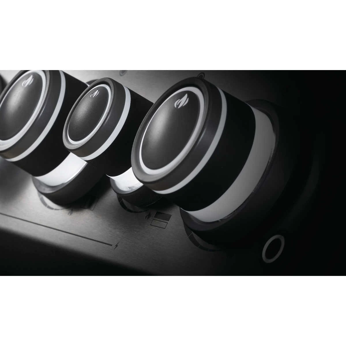 Napoleon Rogue SE 425 Mit Gussrosten Inkl. Drehspieß, Schwarz 7 Napoleon Rogue SE 425 Mit Gussrosten Inkl. Drehspieß, Schwarz – Bild 5