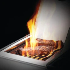 Napoleon Rogue XT 425, Edelstahl -Santo Grills Geschaft napoleon rogue xt 425 edelstahl 357816efd73bc9461c871d909ef1c9db